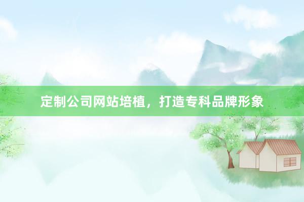 定制公司网站培植，打造专科品牌形象